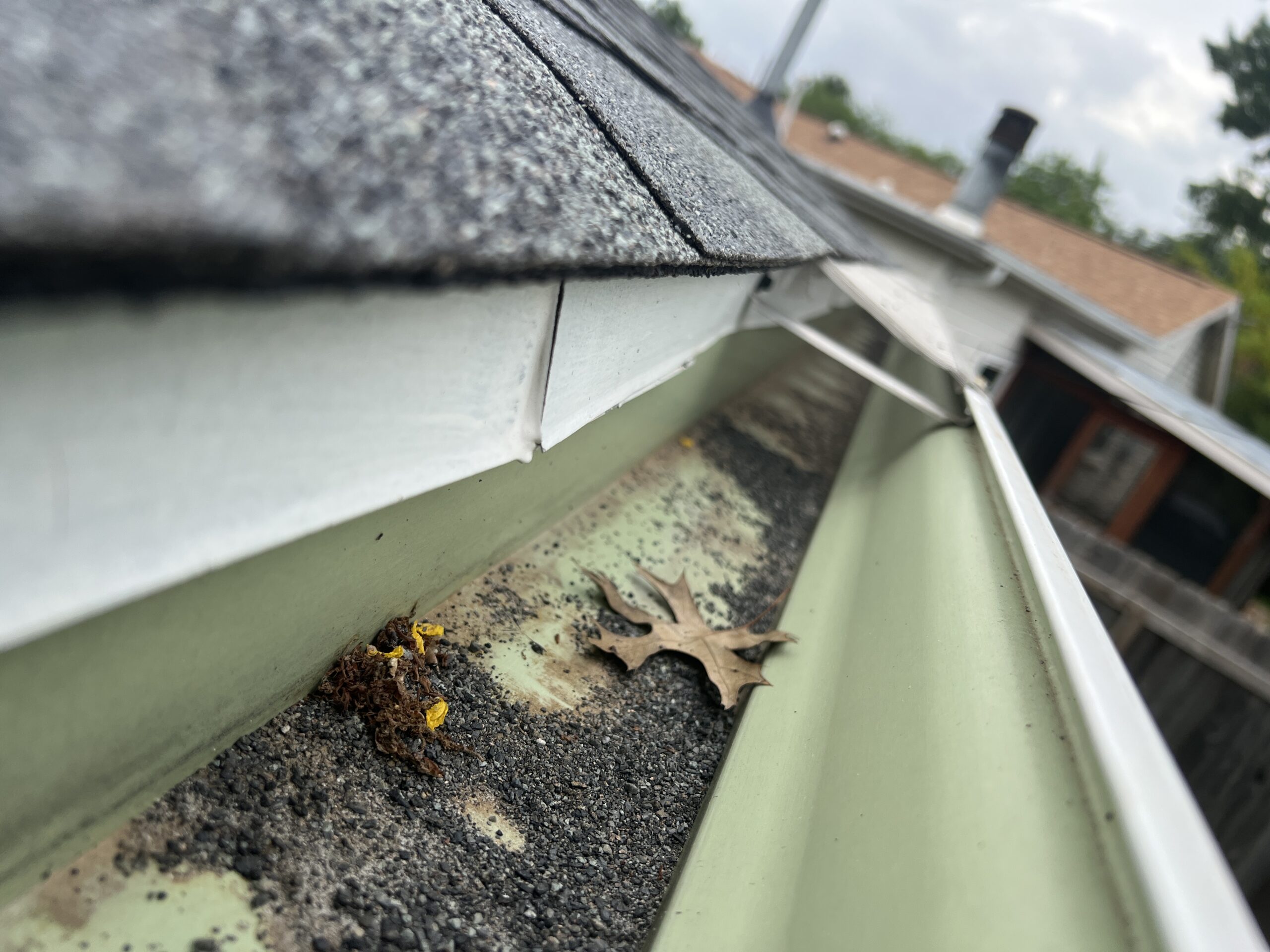 Gutter Cleaning in Austin Texas | Dan's Gutters