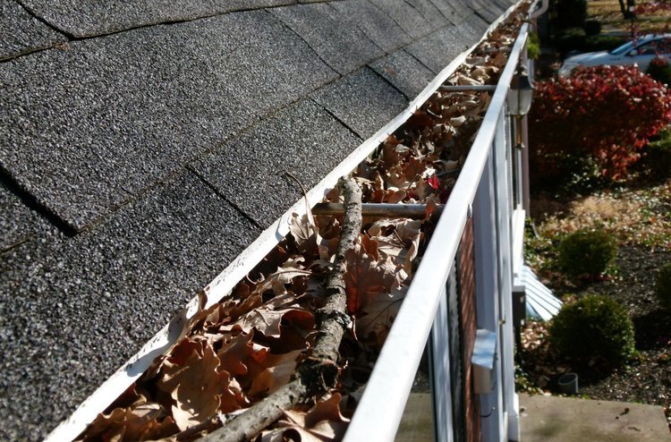 Gutter Cleaning | Dan's Gutters